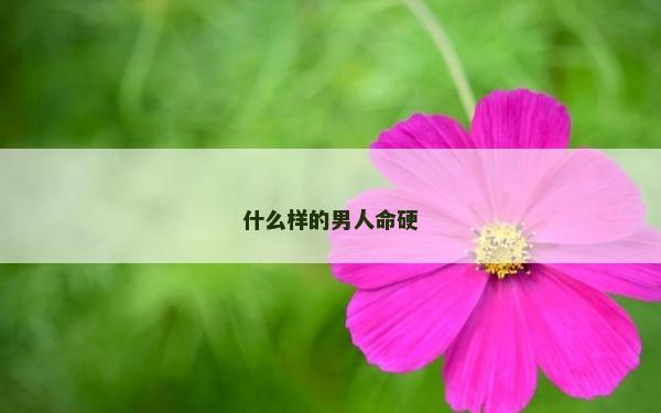 什么樣的男人命硬