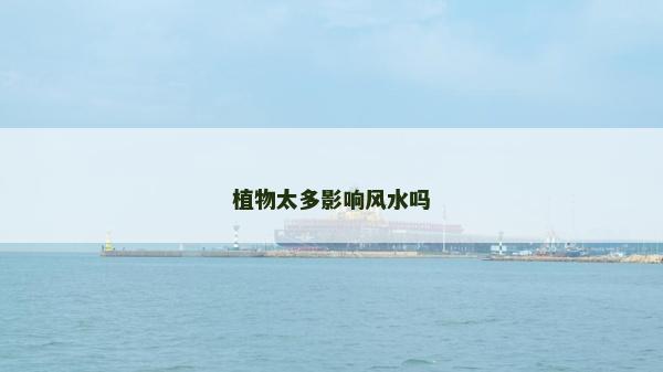 植物太多影響風(fēng)水嗎