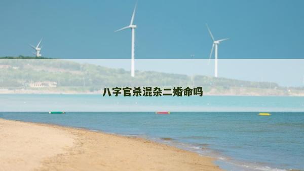 八字官殺混雜二婚命嗎