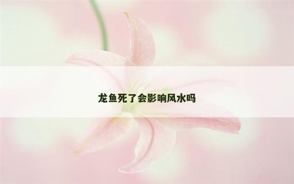 龍魚死了會影響風水嗎