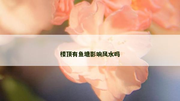 樓頂有魚塘影響風水嗎