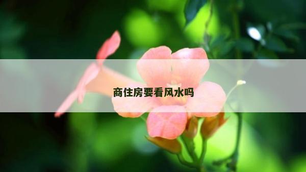 商住房要看風水嗎