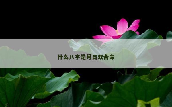 什么八字是月日雙合命
