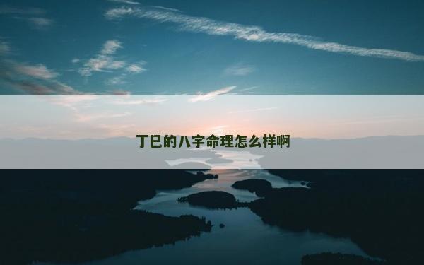 丁巳的八字命理怎么樣啊