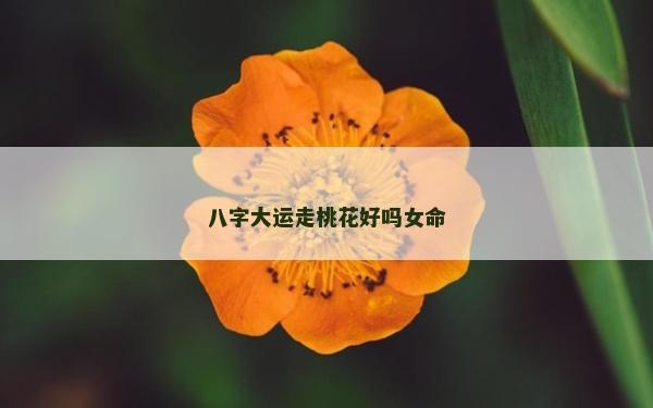 八字大運走桃花好嗎女命