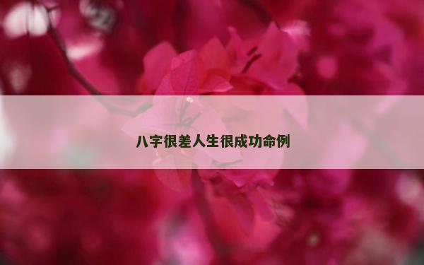 八字很差人生很成功命例 八字很差人生很成功命例