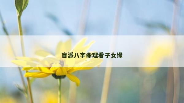 盲派八字命理看子女緣