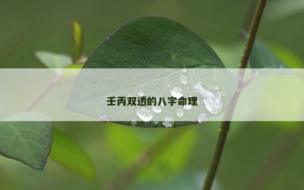 壬丙雙透的八字命理