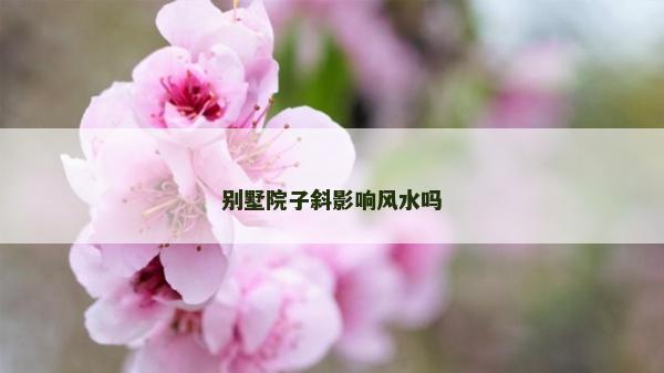 別墅院子斜影響風水嗎 別墅院子斜影響風水嗎
