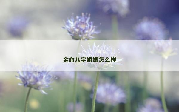 金命八字婚姻怎么樣