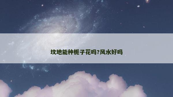 墳地能種梔子花嗎?風水好嗎