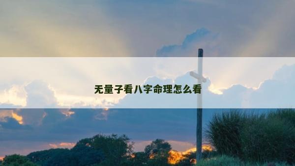 無量子看八字命理怎么看