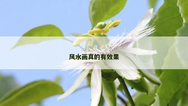 風水畫真的有效果