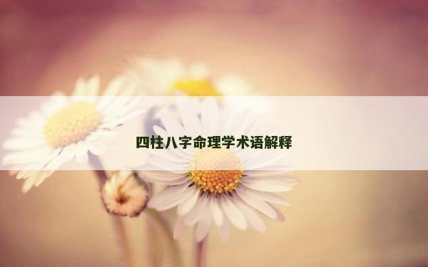 四柱八字命理學(xué)術(shù)語(yǔ)解釋