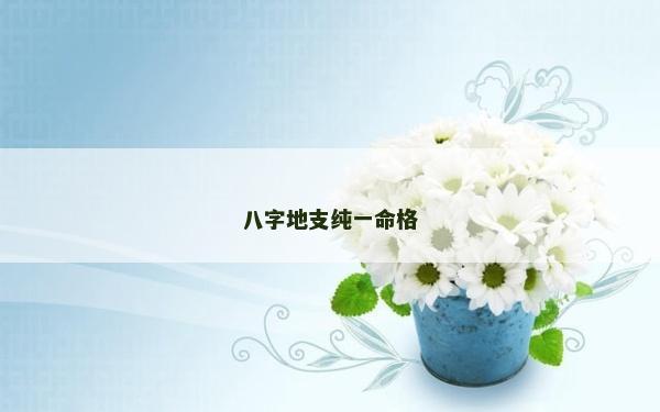八字地支純一命格