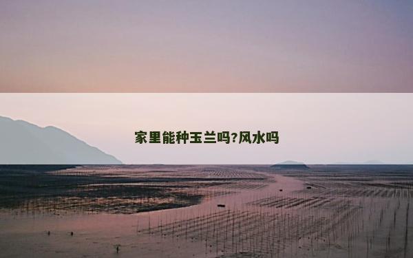 家里能種玉蘭嗎?風水嗎