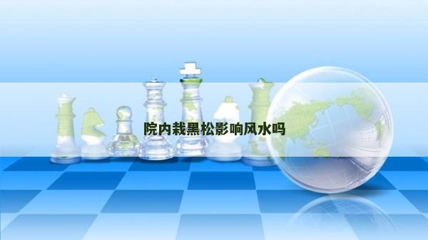 院內(nèi)栽黑松影響風(fēng)水嗎