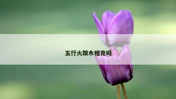 五行火跟木相克嗎