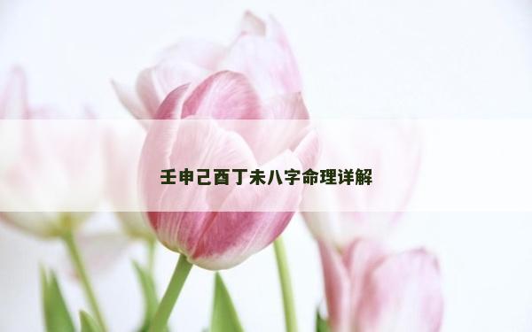 壬申己酉丁未八字命理詳解
