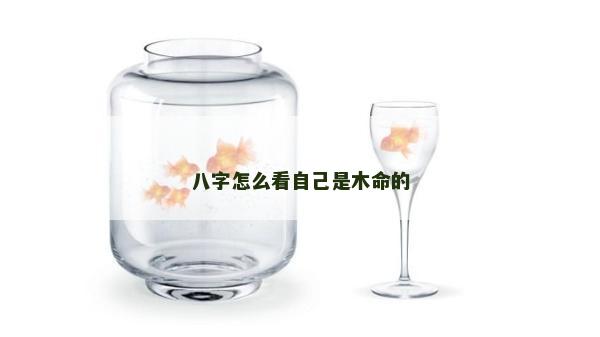 八字怎么看自己是木命的