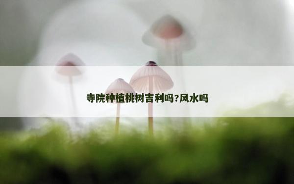 寺院種植桃樹吉利嗎?風水嗎