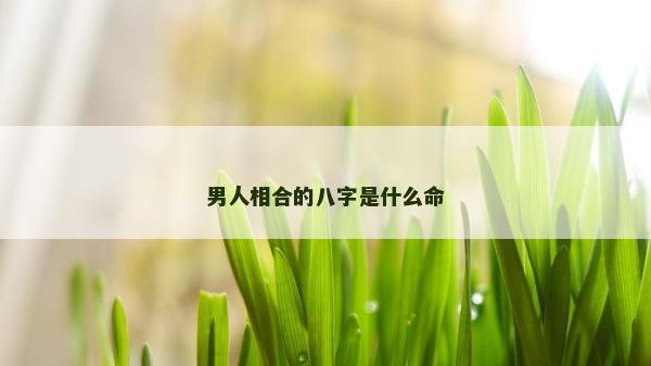 男人相合的八字是什么命