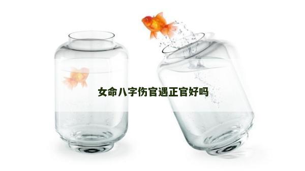 女命八字傷官遇正官好嗎