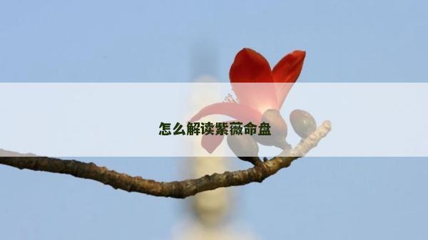 怎么解讀紫薇命盤
