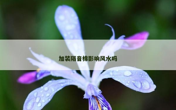 加裝隔音棉影響風水嗎