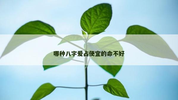 哪種八字愛占便宜的命不好