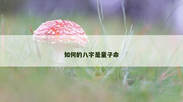 如何的八字是童子命