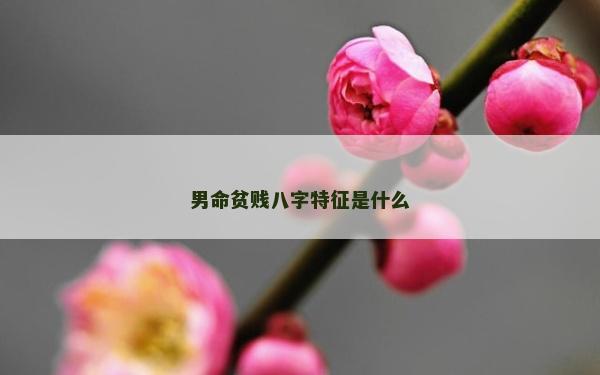 男命貧賤八字特征是什么