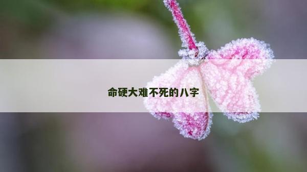 命硬大難不死的八字