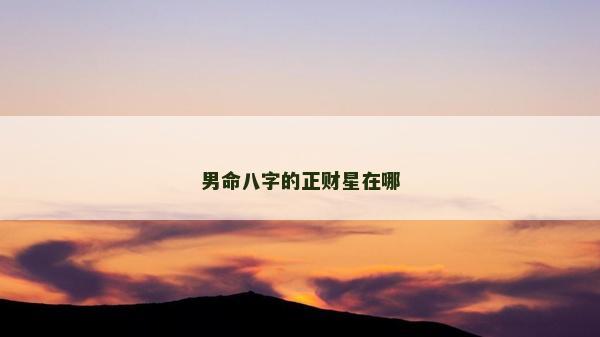 男命八字的正財星在哪 男命八字的正財星在哪
