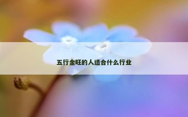 五行金旺的人適合什么行業