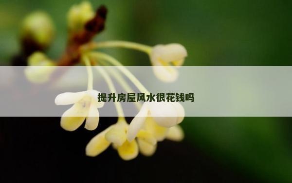 提升房屋風(fēng)水很花錢嗎