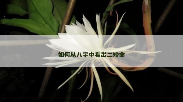 如何從八字中看出二婚命