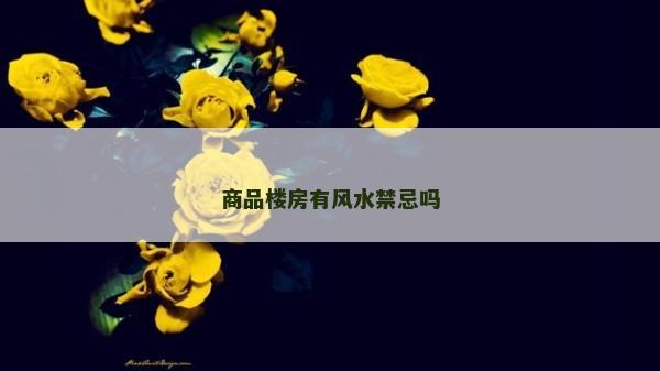 商品樓房有風水禁忌嗎
