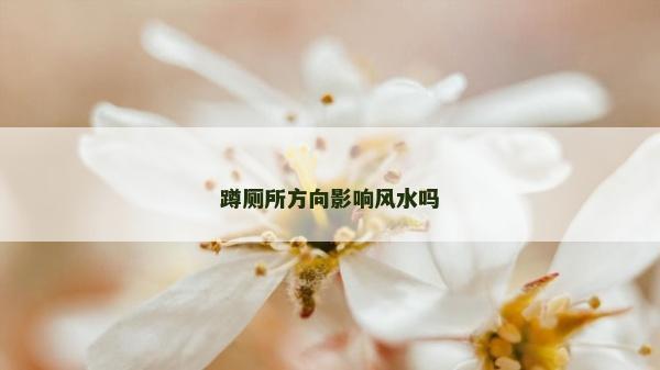 蹲廁所方向影響風(fēng)水嗎
