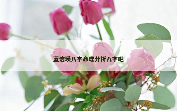 藍(lán)潔瑛八字命理分析八字吧