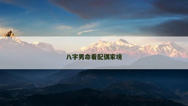 八字男命看配偶家境