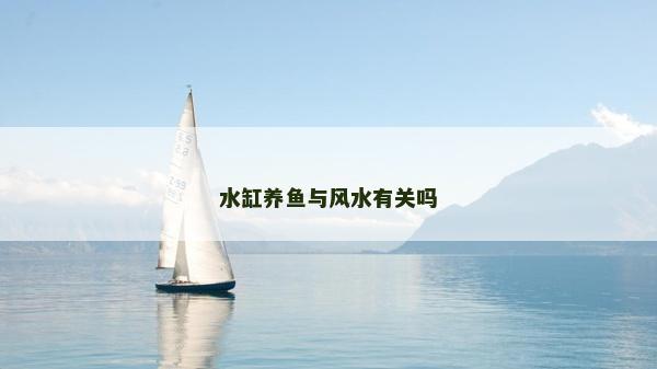 水缸養魚與風水有關嗎