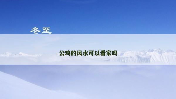 公雞的風水可以看家嗎