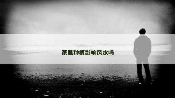 家里種植影響風(fēng)水嗎