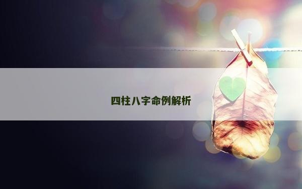 四柱八字命例解析