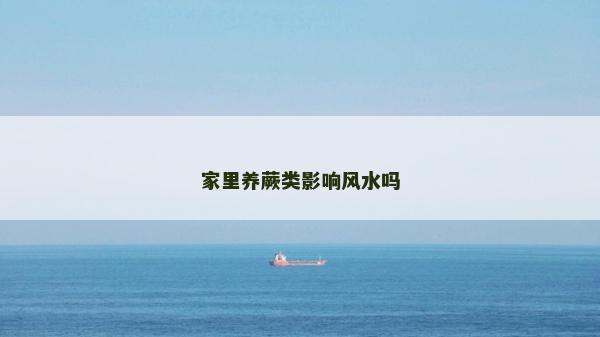 家里養蕨類影響風水嗎