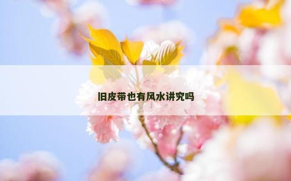 舊皮帶也有風水講究嗎
