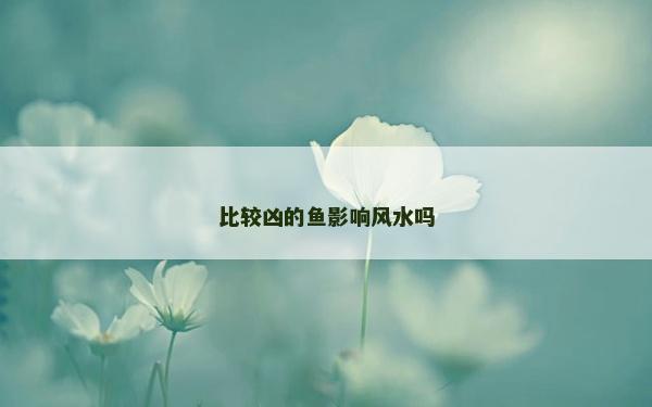 比較兇的魚影響風水嗎