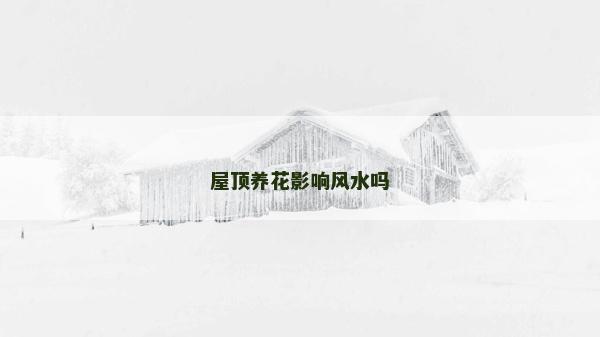 屋頂養花影響風水嗎