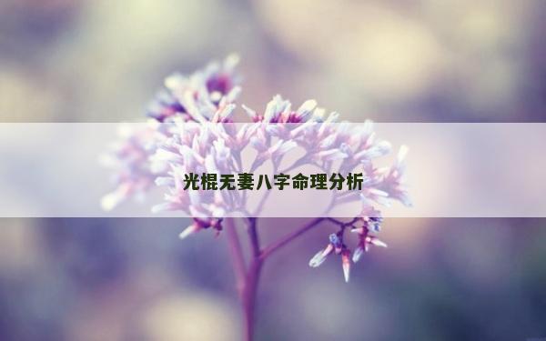 光棍無妻八字命理分析
